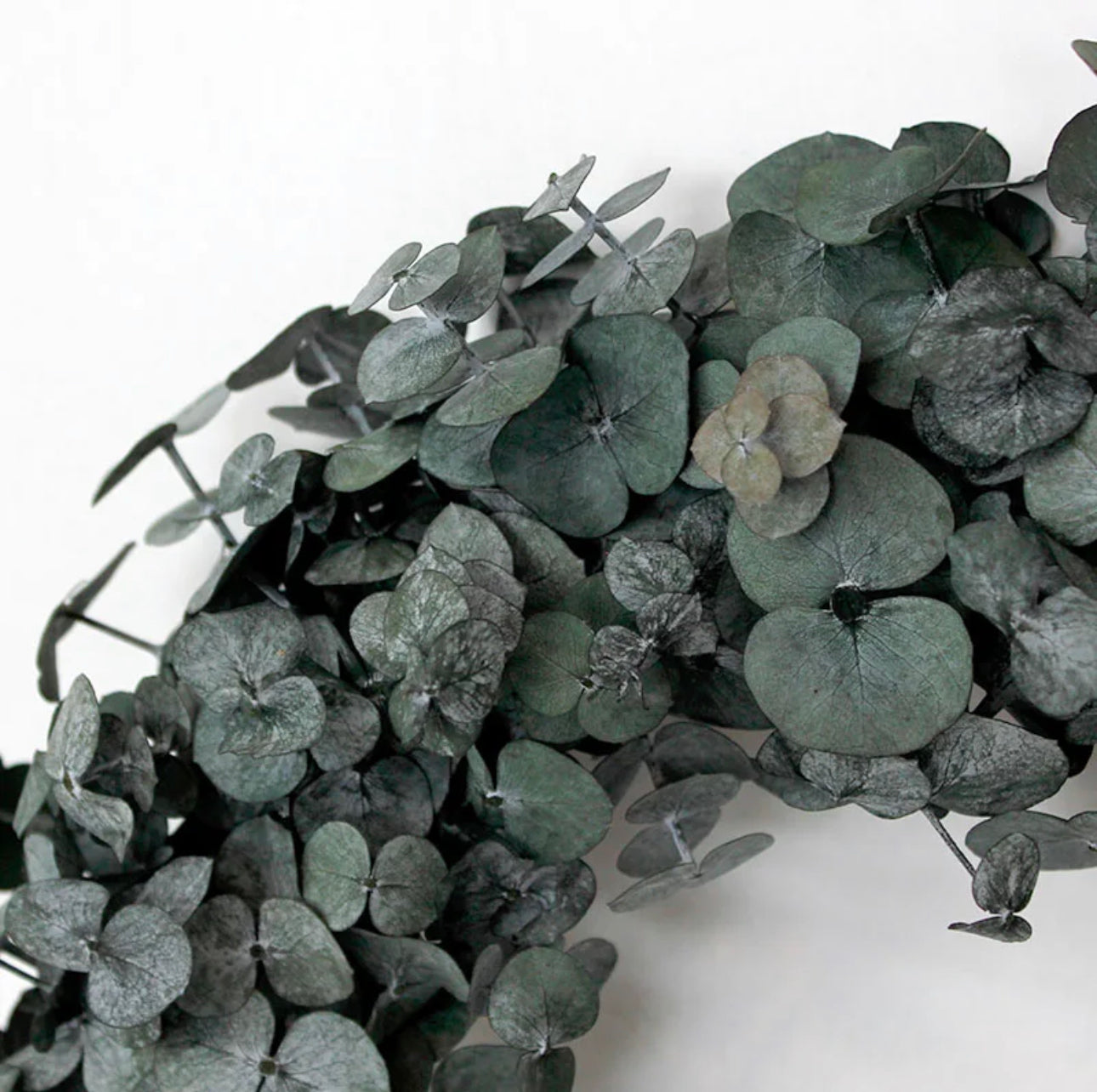 Lu home The Eucalyptus 22” Wreath