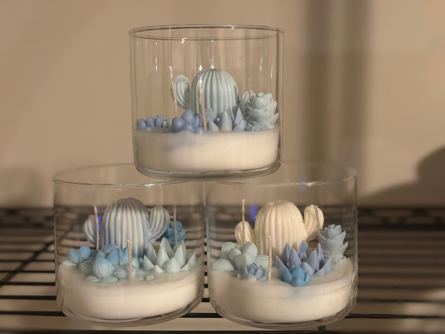 (Faire) Lu home The Succulent Jar Scented Candle