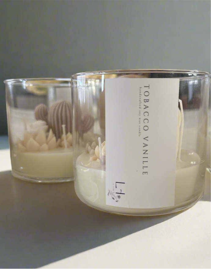 (Faire) Lu home The Succulent Jar Scented Candle