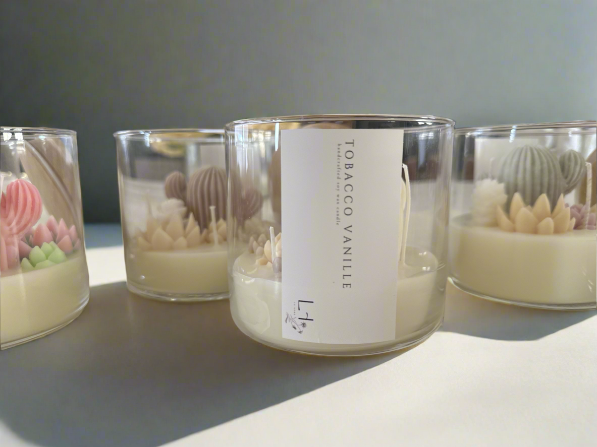 (Faire) Lu home The Succulent Jar Scented Candle