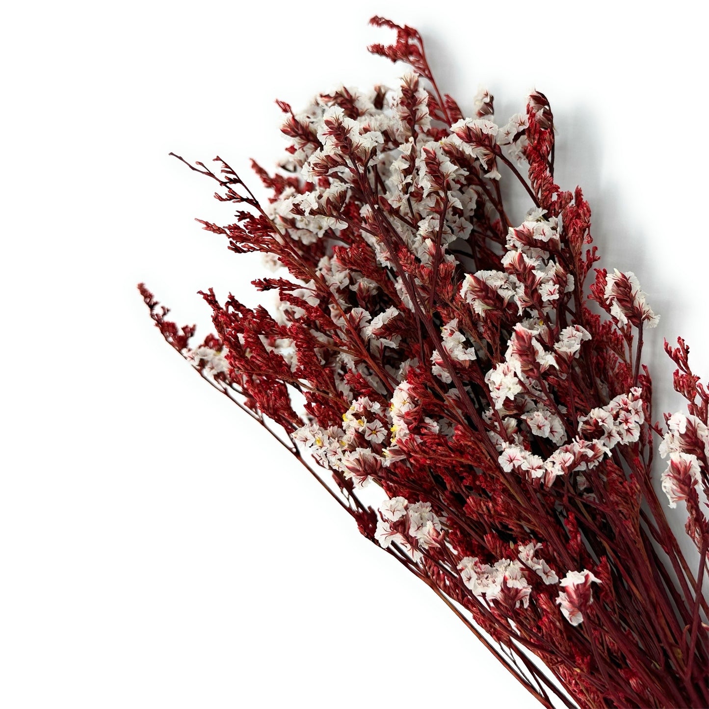 Lu home Miniature Preserved Floral Bouquets