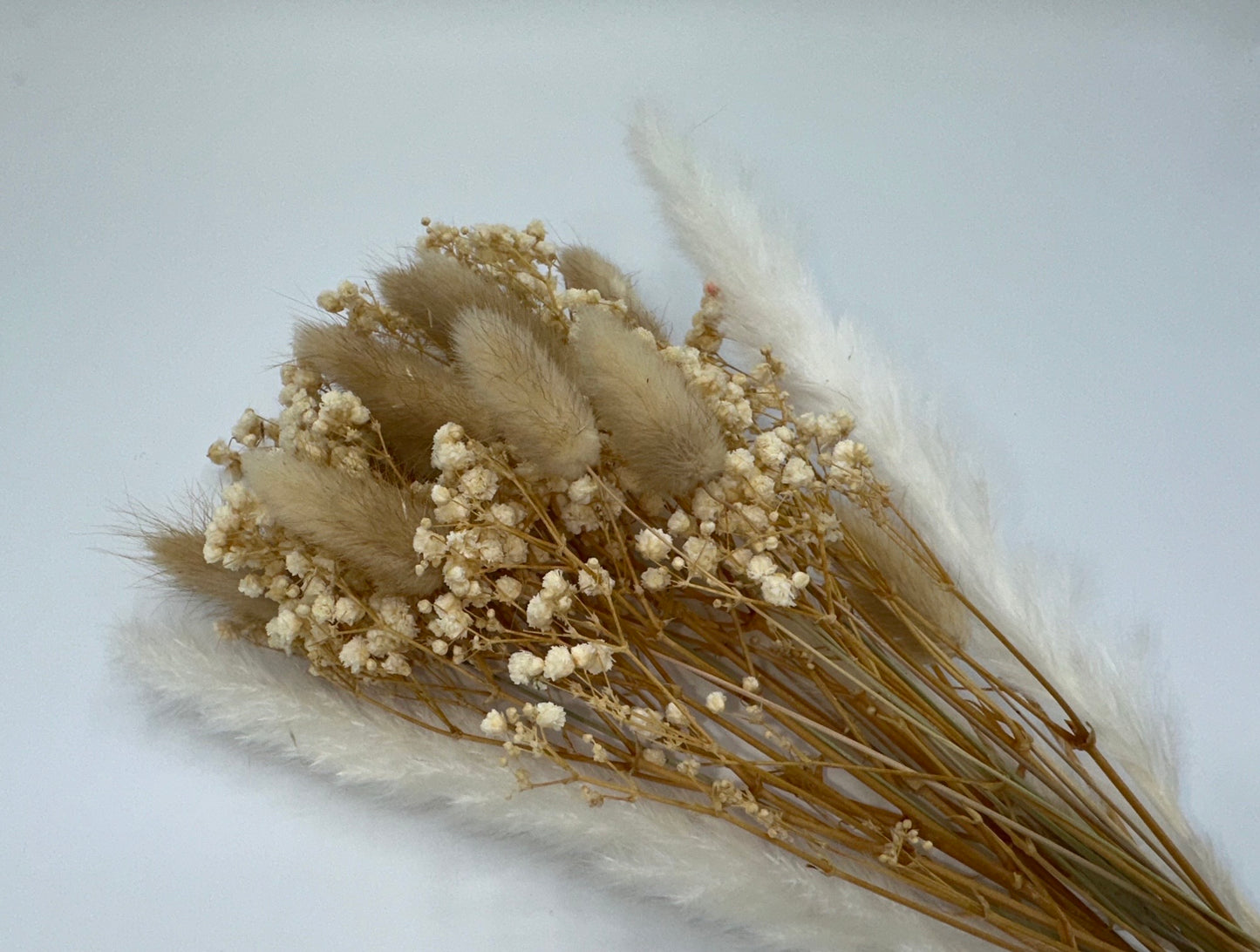 Lu home Miniature Preserved Floral Bouquets