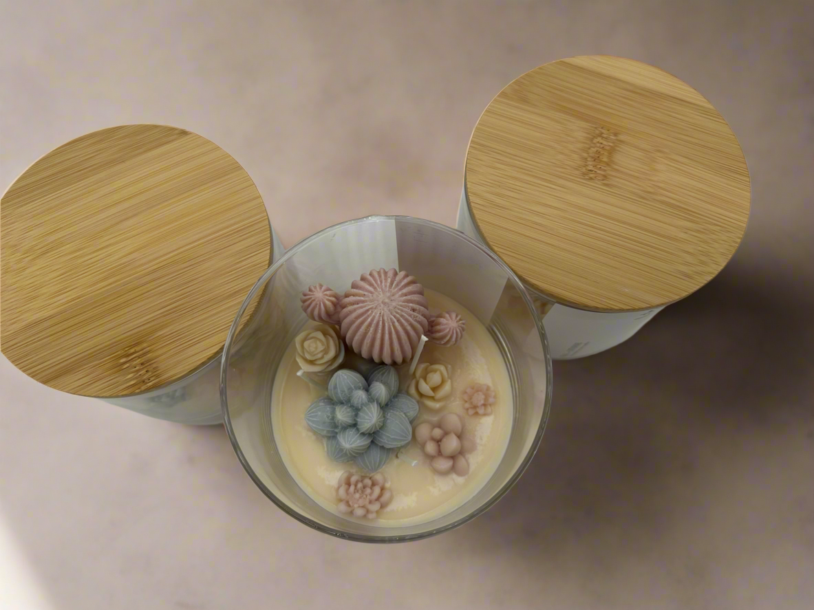 Lu home The Succulent Jar Scented Candle