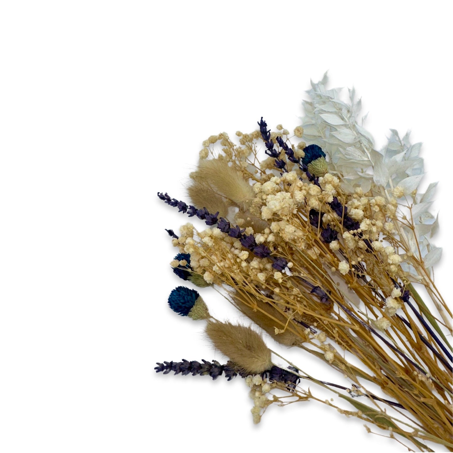 Lu home Miniature Preserved Floral Bouquets
