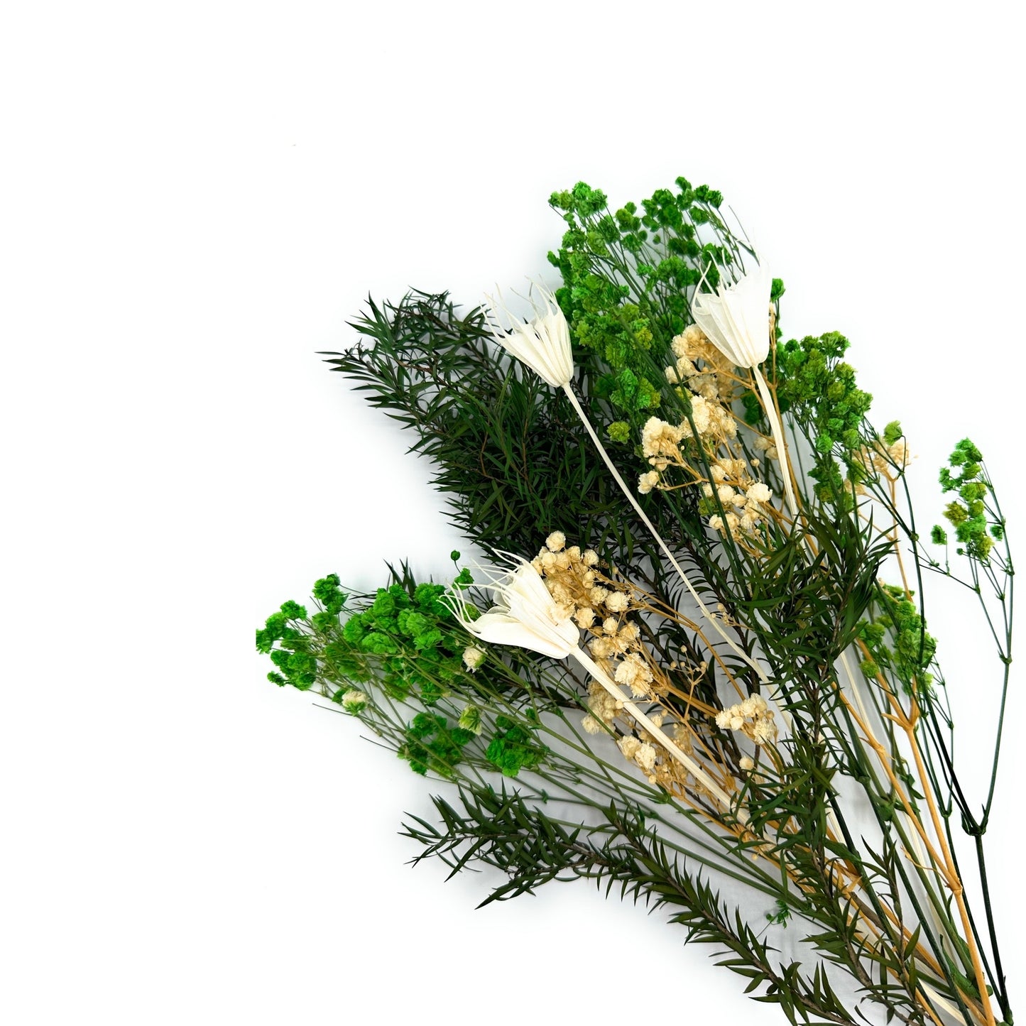 Lu home Miniature Preserved Floral Bouquets