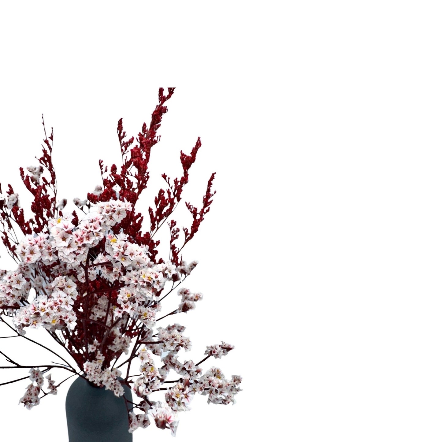 Lu home Miniature Preserved Floral Bouquets