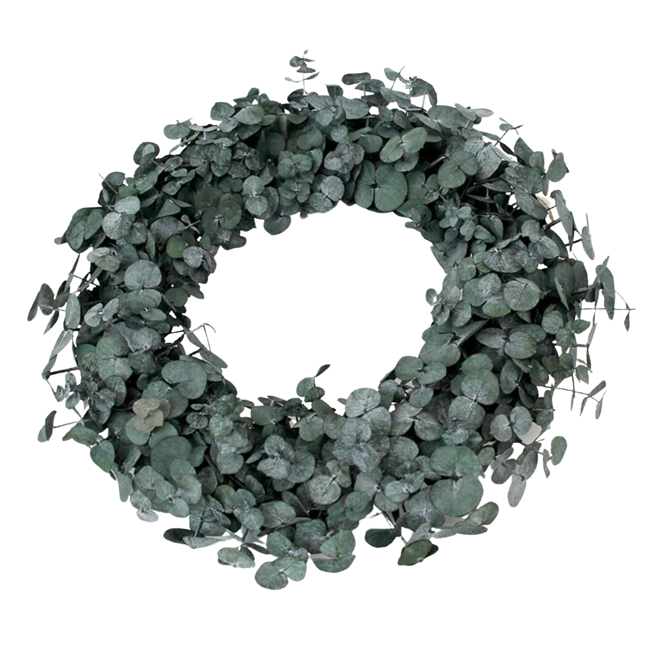 Lu home The Eucalyptus 22” Wreath