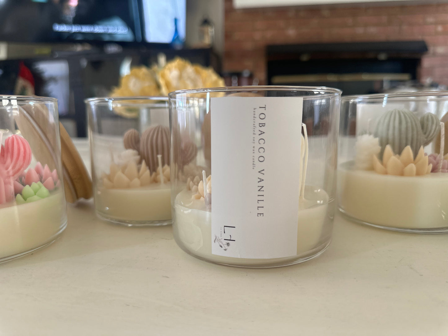 (Faire) Lu home The Succulent Jar Scented Candle