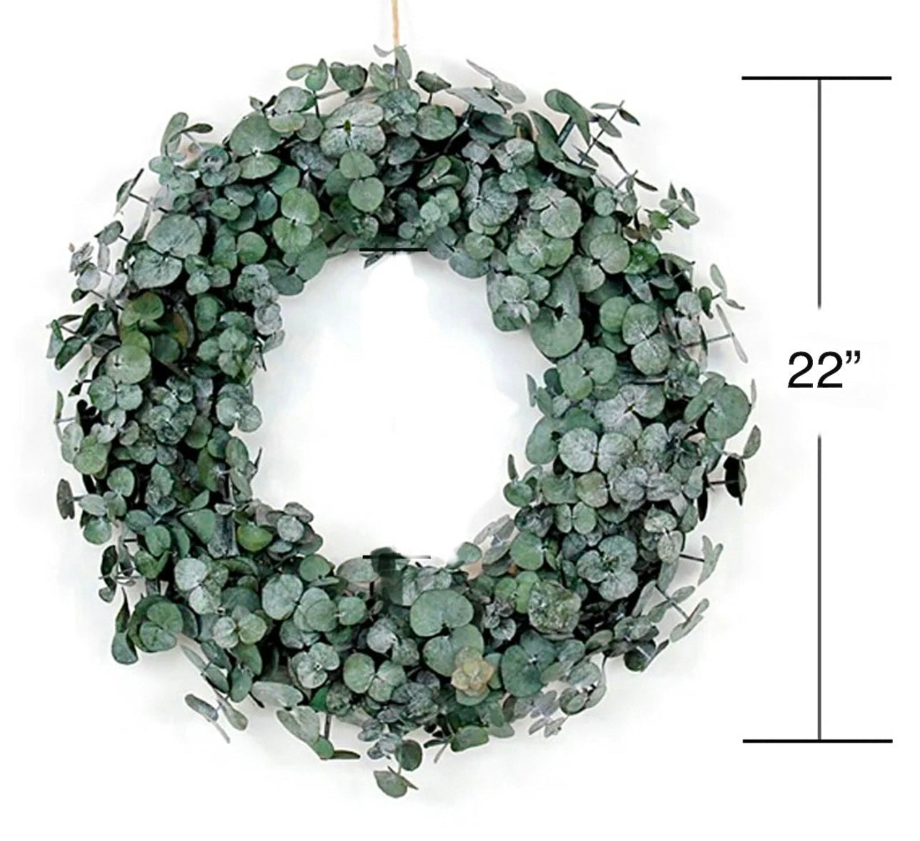 Lu home The Eucalyptus 22” Wreath