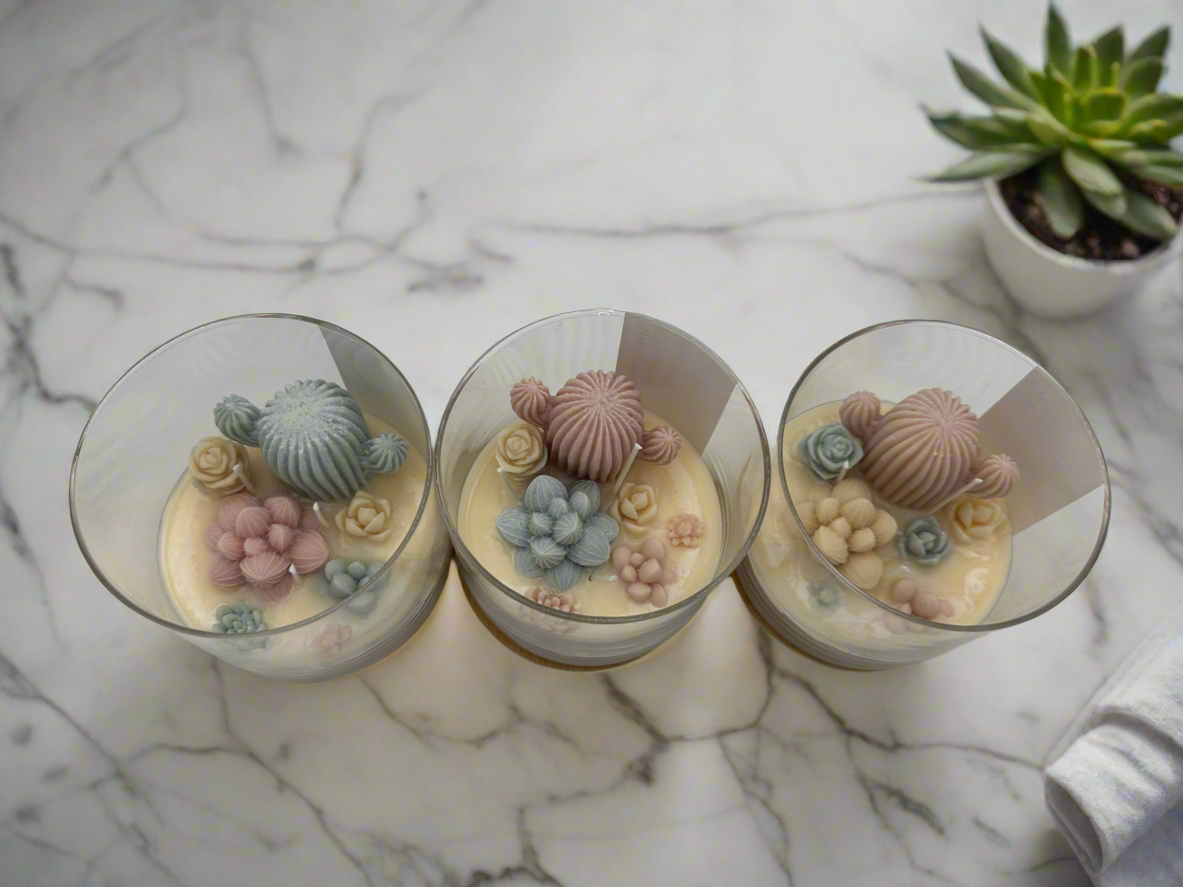 Lu home The Succulent Jar Scented Candle