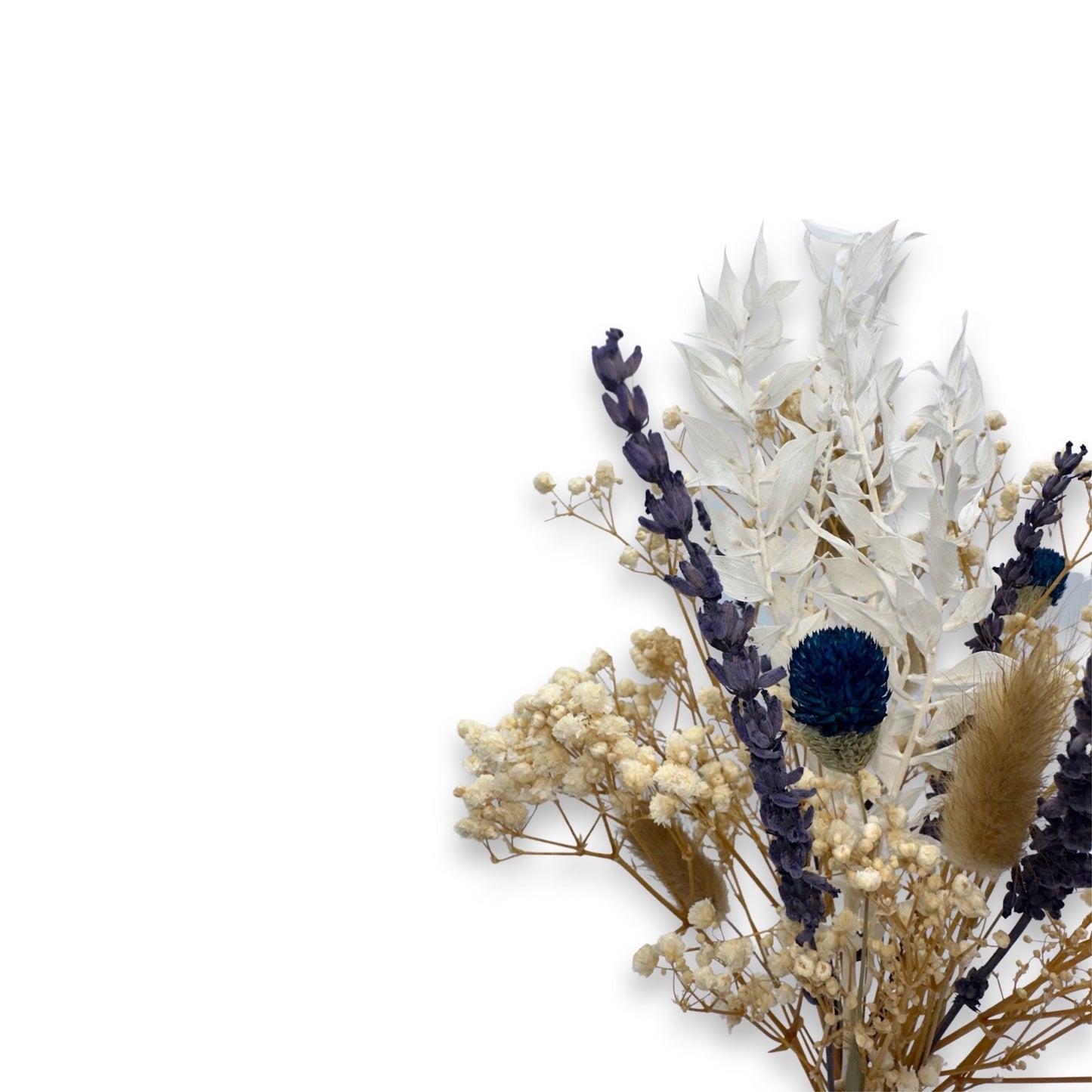 Lu home Miniature Preserved Floral Bouquets