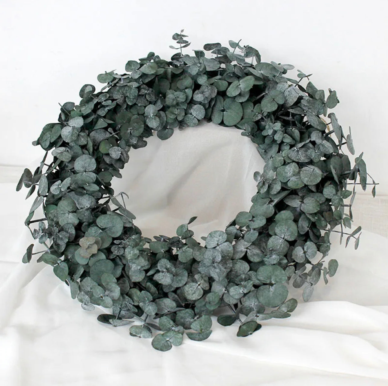Lu home The Eucalyptus 22” Wreath