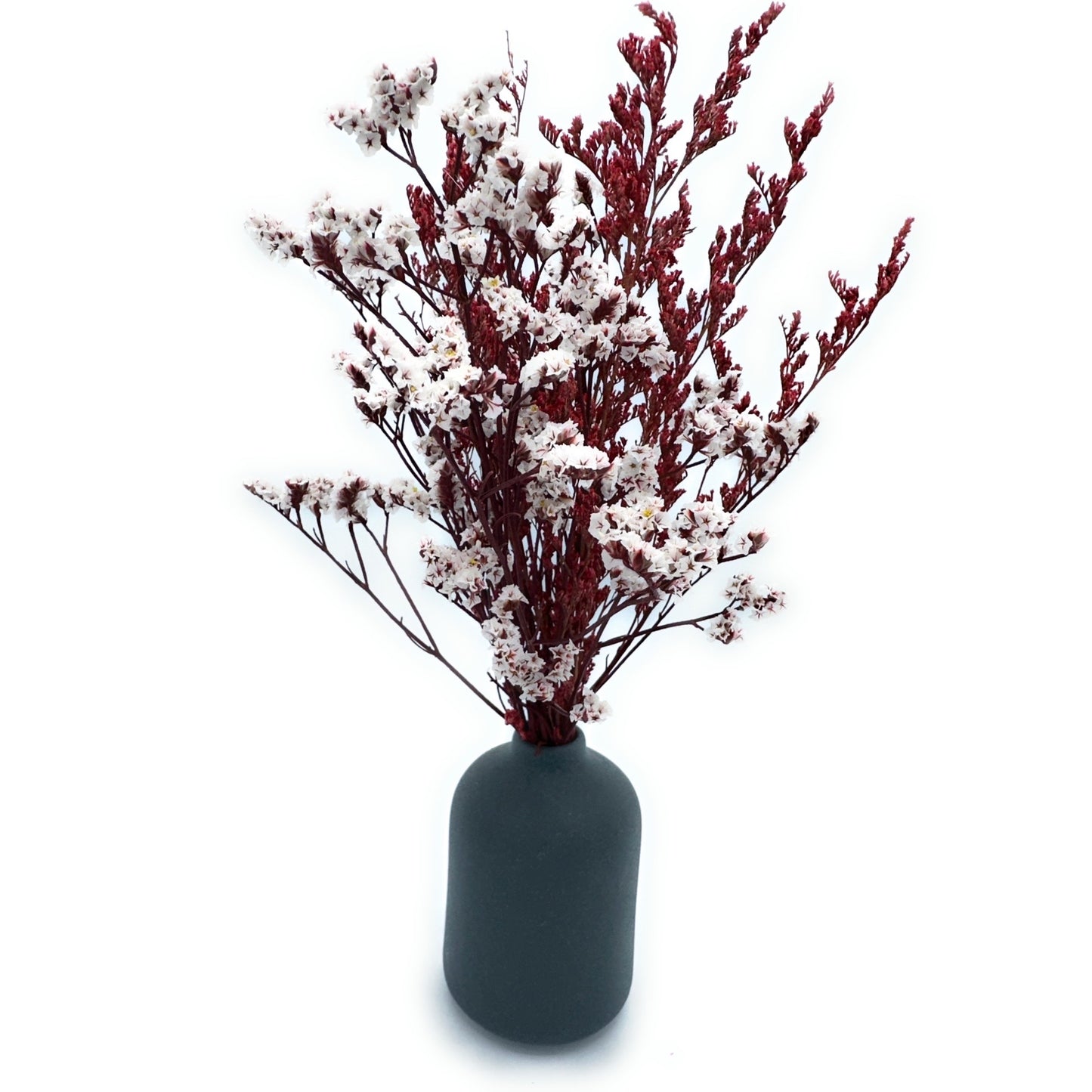 Lu home Bundle - Small Circle Vase with Miniature Dried Floral Arrangement