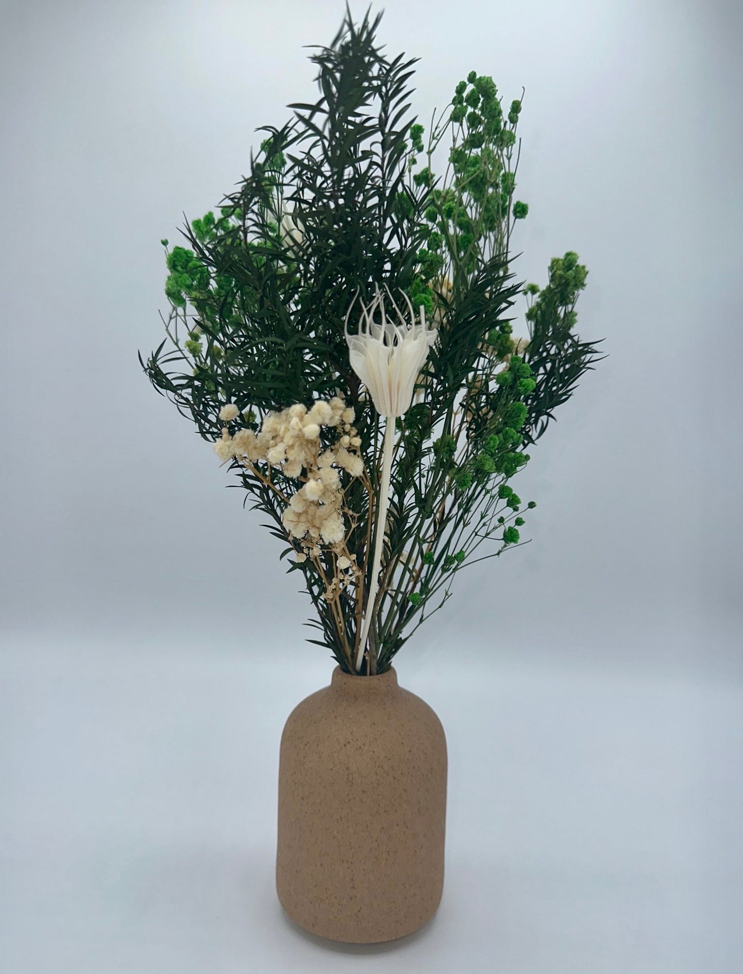 Lu home Bundle - Small Circle Vase with Miniature Dried Floral Arrangement