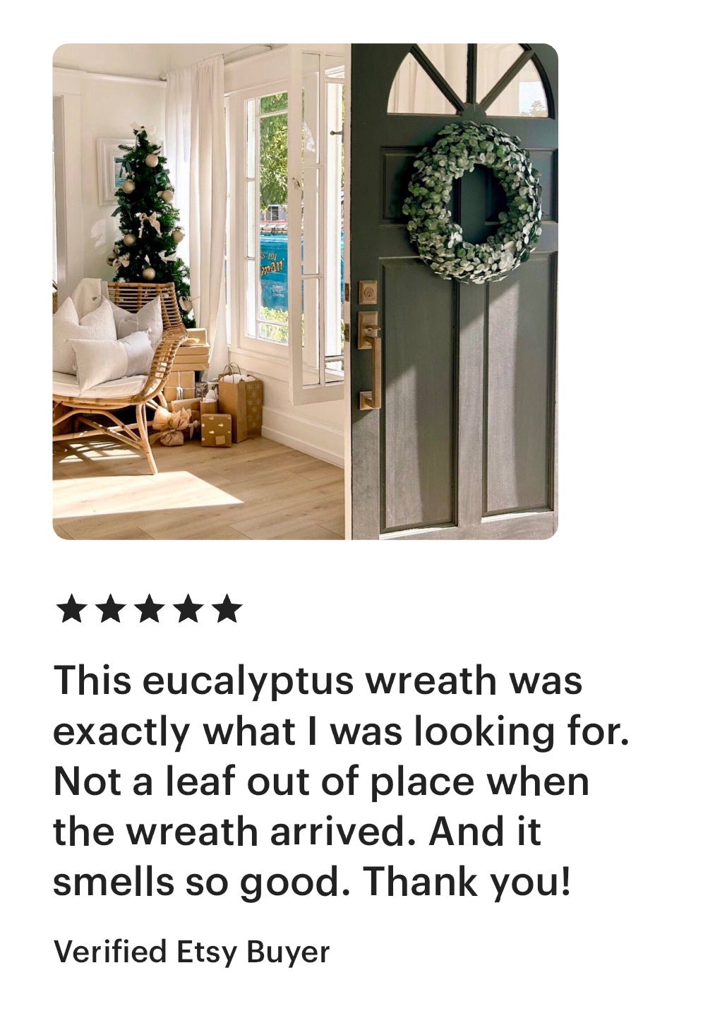 Lu home The Eucalyptus 22” Wreath